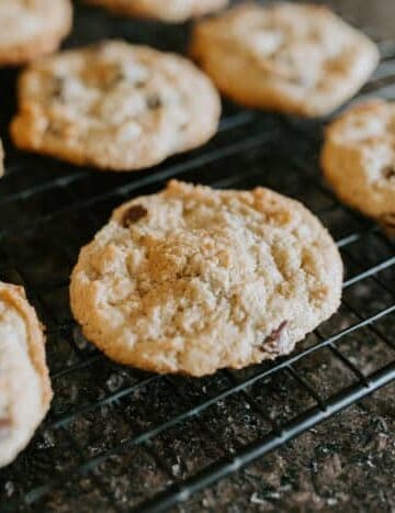 Paleo Chocolate Chip Cookies