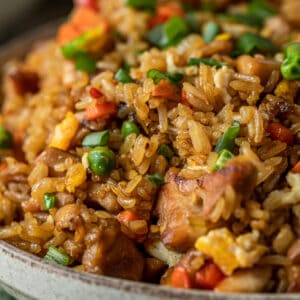 A close up view of a bowl of chicken fried rice