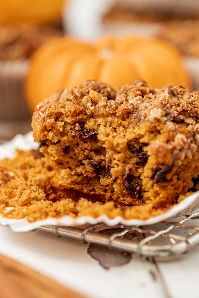 A paleo pumpkin chocolate chip muffin with a bite take out on a cooling rack