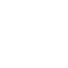 globe with a magnifying loop icon